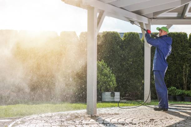 Animal Enclosure Cleaning in Carey, ID